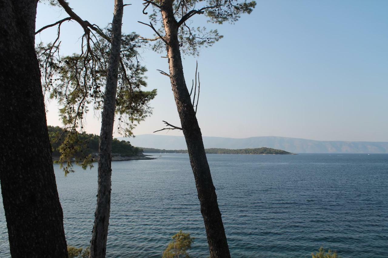 Covahouse Διαμέρισμα Jelsa  Εξωτερικό φωτογραφία