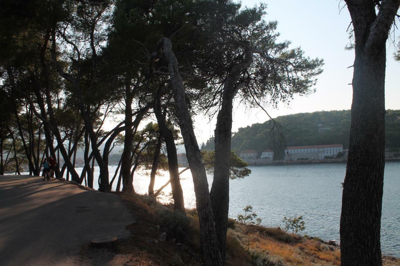 Covahouse Διαμέρισμα Jelsa  Εξωτερικό φωτογραφία