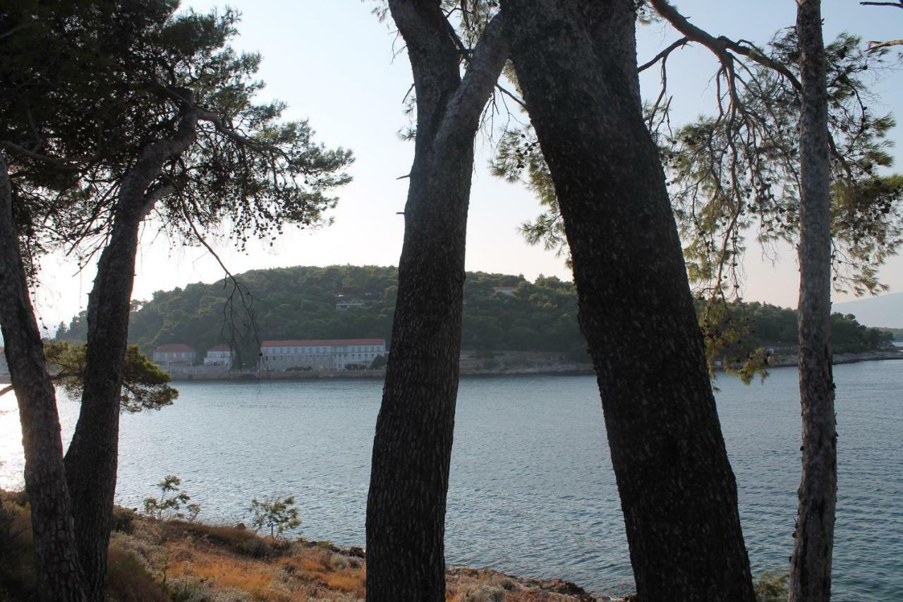 Covahouse Διαμέρισμα Jelsa  Εξωτερικό φωτογραφία