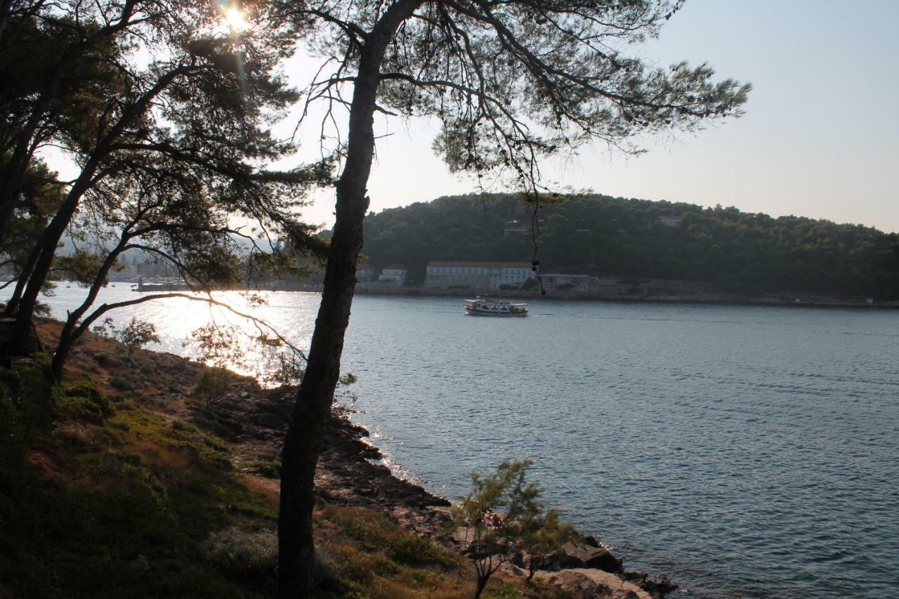Covahouse Διαμέρισμα Jelsa  Εξωτερικό φωτογραφία