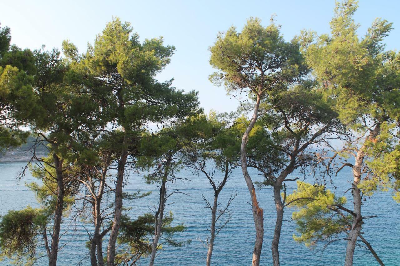 Covahouse Διαμέρισμα Jelsa  Εξωτερικό φωτογραφία